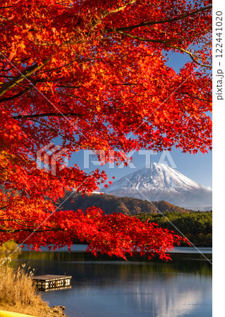 《山梨県》富士山と紅葉・秋の西湖 《山梨県》富士山と紅葉・秋の西湖 122441020