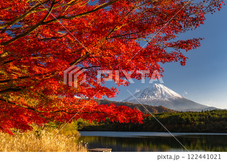 《山梨県》富士山と紅葉・秋の西湖 122441021
