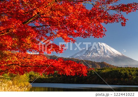《山梨県》富士山と紅葉・秋の西湖 122441022