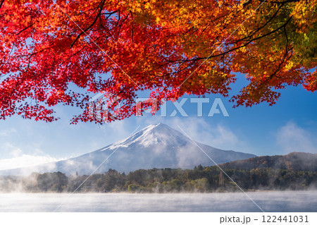 《山梨県》富士山と紅葉・朝の河口湖湖畔 《山梨県》富士山と紅葉・朝の河口湖湖畔 122441031
