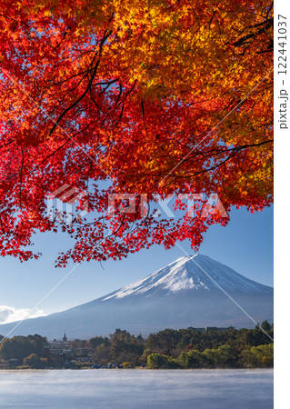 《山梨県》富士山と紅葉・朝の河口湖湖畔 122441037