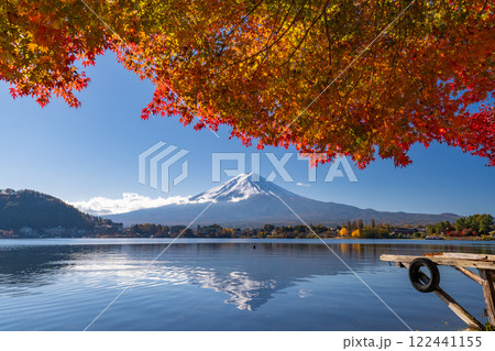 《山梨県》富士山と紅葉のアーチ・秋の河口湖湖畔 122441155