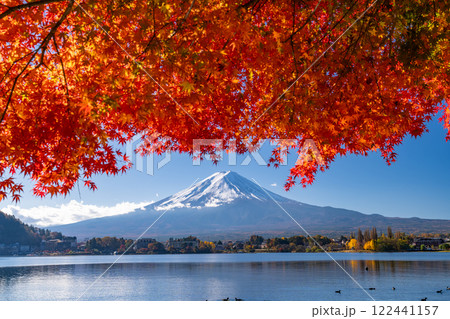 《山梨県》富士山と紅葉のアーチ・秋の河口湖湖畔 122441157