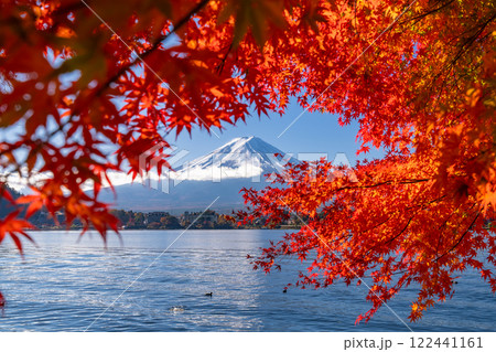 《山梨県》富士山と紅葉のアーチ・秋の河口湖湖畔 122441161