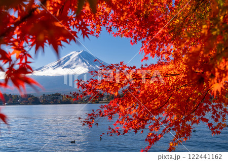 《山梨県》富士山と紅葉のアーチ・秋の河口湖湖畔 122441162