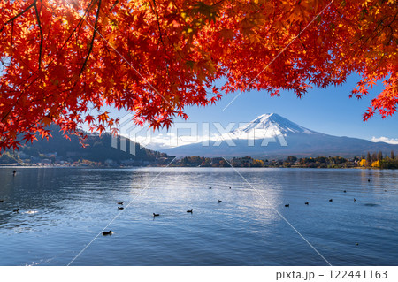 《山梨県》富士山と紅葉のアーチ・秋の河口湖湖畔 《山梨県》富士山と紅葉のアーチ・秋の河口湖湖畔 122441163