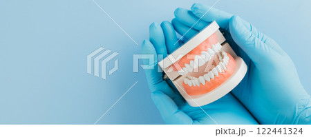 Dentist Day concept. A doctor gloved hands carefully hold a tooth model on blue 122441324