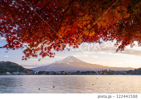 《山梨県》富士山と紅葉のアーチ・秋の河口湖湖畔の夕暮れ 《山梨県》富士山と紅葉のアーチ・秋の河口湖湖畔の夕暮れ 122441588