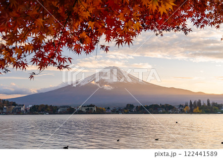 《山梨県》富士山と紅葉のアーチ・秋の河口湖湖畔の夕暮れ 122441589