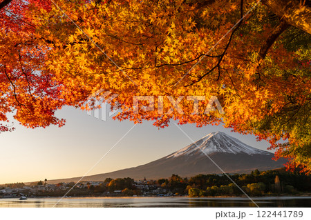 《山梨県》富士山と紅葉・河口湖湖畔の夜明け 122441789