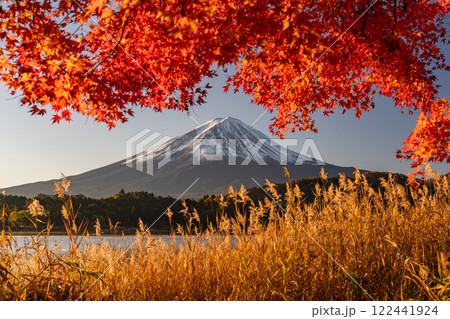 《山梨県》富士山と紅葉・河口湖湖畔の夜明け 《山梨県》富士山と紅葉・河口湖湖畔の夜明け 122441924