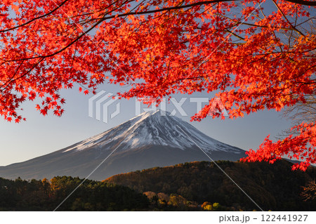 《山梨県》富士山と紅葉・河口湖湖畔の夜明け 《山梨県》富士山と紅葉・河口湖湖畔の夜明け 122441927