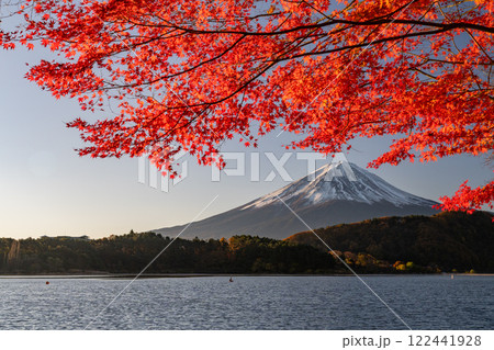 《山梨県》富士山と紅葉・河口湖湖畔の夜明け 《山梨県》富士山と紅葉・河口湖湖畔の夜明け 122441928