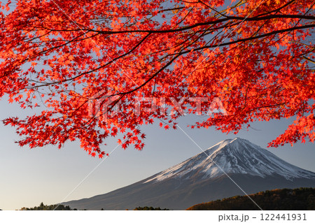 《山梨県》富士山と紅葉・河口湖湖畔の夜明け 122441931