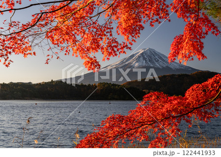 《山梨県》富士山と紅葉・河口湖湖畔の夜明け 122441933
