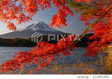 《山梨県》富士山と紅葉・河口湖湖畔の夜明け 122441935