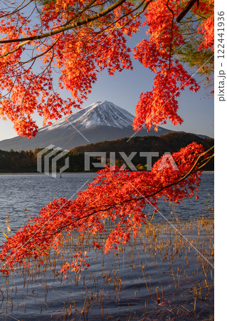 《山梨県》富士山と紅葉・河口湖湖畔の夜明け 122441936