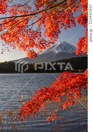 《山梨県》富士山と紅葉・河口湖湖畔の夜明け 《山梨県》富士山と紅葉・河口湖湖畔の夜明け 122441937