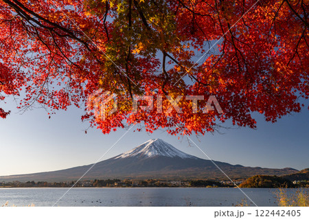 《山梨県》富士山と紅葉・河口湖湖畔の夜明け 122442405
