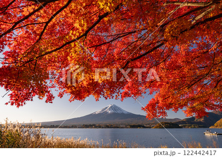 《山梨県》富士山と紅葉・河口湖湖畔の夜明け 122442417