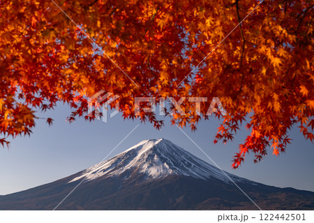 《山梨県》富士山と紅葉・河口湖湖畔の夜明け 《山梨県》富士山と紅葉・河口湖湖畔の夜明け 122442501