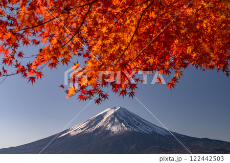 《山梨県》富士山と紅葉・河口湖湖畔の夜明け 《山梨県》富士山と紅葉・河口湖湖畔の夜明け 122442503