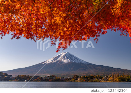《山梨県》富士山と紅葉・河口湖湖畔の夜明け 122442504