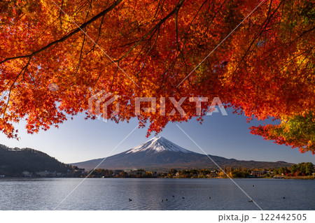 《山梨県》富士山と紅葉・河口湖湖畔の夜明け 122442505