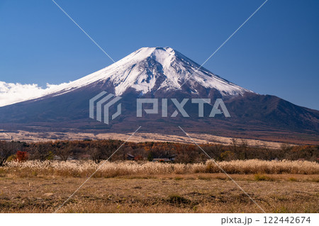 《山梨県》富士山とススキ・秋の忍野村 《山梨県》富士山とススキ・秋の忍野村 122442674