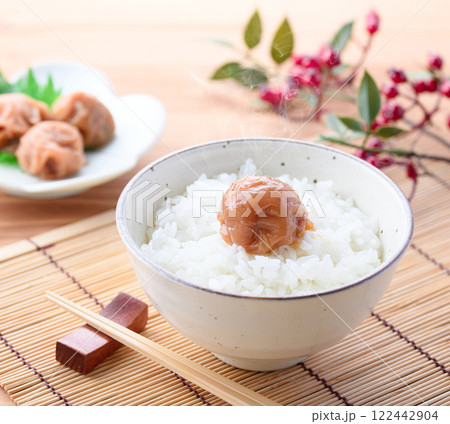 ご飯にのせた梅干し 紀州南高梅 ( はちみつ梅 ) ご飯にのせた梅干し 紀州南高梅 ( はちみつ梅 ) 122442904