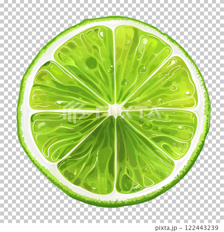Illustration of a Lime Slice 122443239