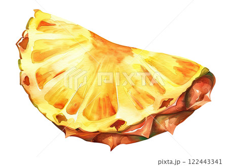 Slice of Pineapple 122443341