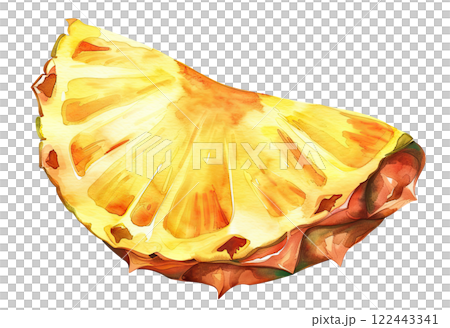 Slice of Pineapple 122443341
