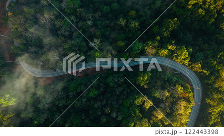 Aerial view of forest road and farm in the morning. Travel. Green transport. Aerial view. 122443398