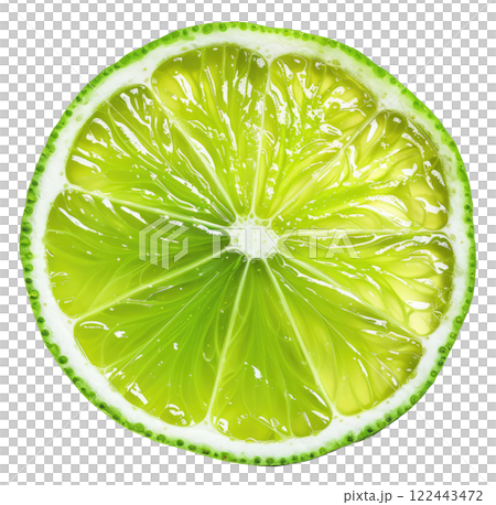 Lime Slice 122443472