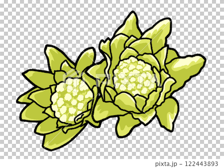 ふきのとう ふきのとう 122443893