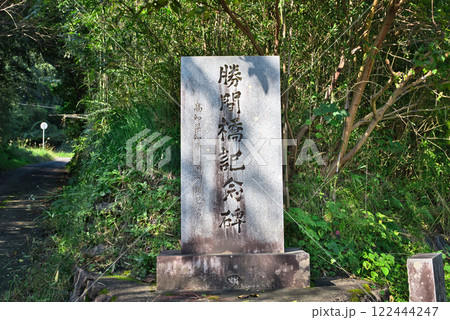 勝間沈下橋 122444247