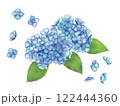 水彩で描いた紫陽花のイラスト 122444360