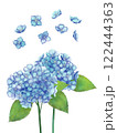 青い紫陽花の水彩イラスト 122444363