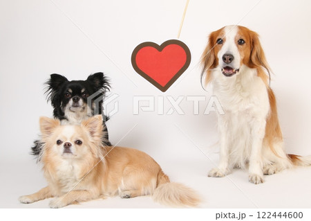 ハートのマークと可愛い3頭の犬 122444600