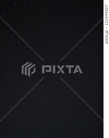 獅子座と小獅子座（202501050420） 122444927