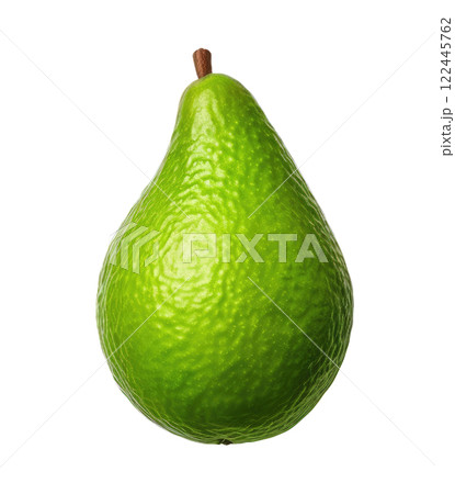 Avocado 122445762