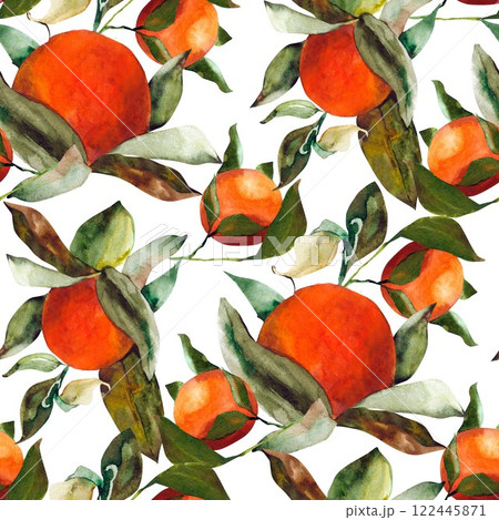 orange fruit seamless pattern watercolor illustration orange fruit seamless pattern watercolor illustration 122445871