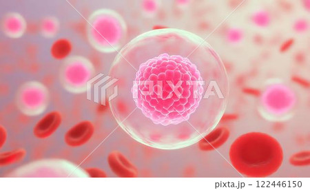 体内の造血幹細胞が赤血球を作るイメージの3DCGイラスト 医療系素材 体内の造血幹細胞が赤血球を作るイメージの3DCGイラスト 医療系素材 122446150