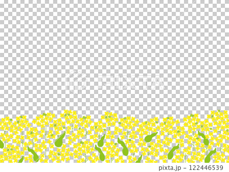 強姦開花背景圖 122446539
