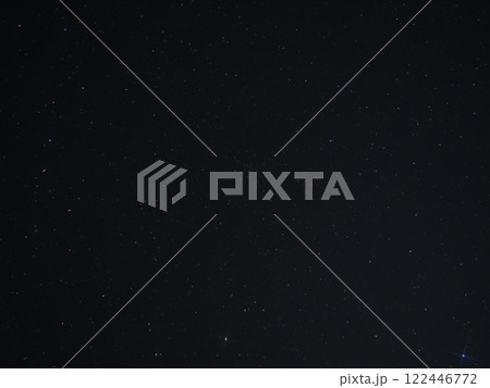 春の大曲線（202501050424） 122446772