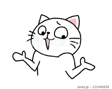 呆れたポーズをとる猫 122446830