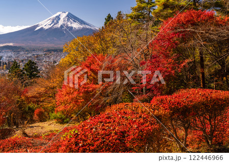 《山梨県》富士山と一面に広がる紅葉 122446966