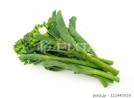 アンチョビ菜 122447019