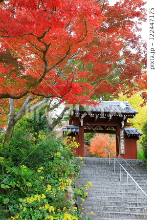 法輪山　覚苑寺 122447175